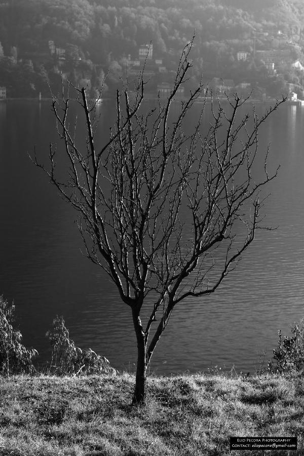 Appartamenti Monti Como Lake Brunate Esterno foto